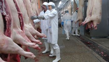 Formalizan creación del primer consorcio para exportar carne de cerdo
