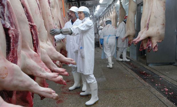El Consorcio de Cooperación de Exportación de Carne de Cerdo, denominado Argenpork, ya inició el trámite de inscripción en la Inspección General de Justicia (IGJ).