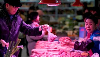 La exportación de carne de cerdo de Brasil creció 81% en un año