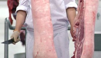 Producción de carne de cerdo marcó un nuevo récord en 2016