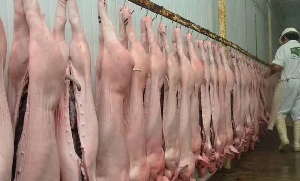 La faena de cerdos fue récord histórico en la primera mitad del año