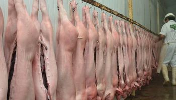 Senasa decomisó más de 22 mil kilos de carne de cerdo de un frigorífico por irregularidades en la faena