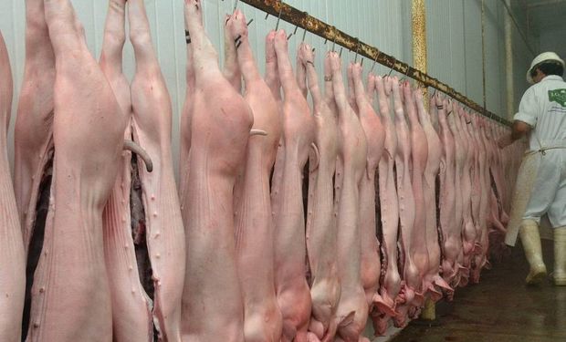 Senasa decomisó más de 22 mil kilos de carne de cerdo de un frigorífico por irregularidades en la faena