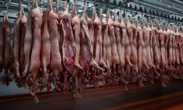 La ractopamina es un anabólico que favorece la productividad en el último tramo del engorde al mejorar la conversión del alimento en carne.