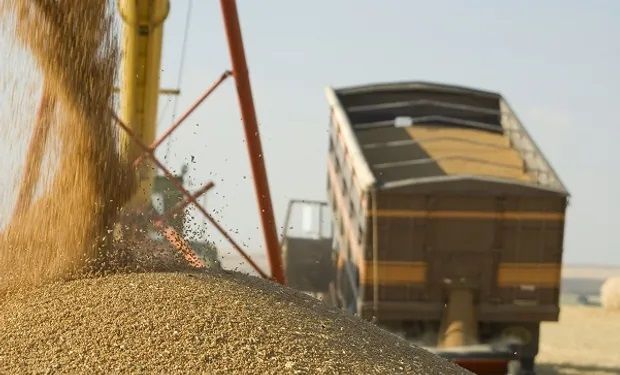 Fijan un nuevo acuerdo salarial para trabajadores que manipulan y almacenan granos y producen frutillas