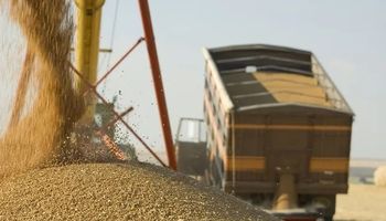 Fijan nuevos salarios mínimos para trabajadores de almacenamiento de granos