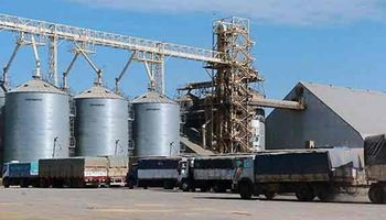 Cerealeras: cepo al crédito afectó a más compañías