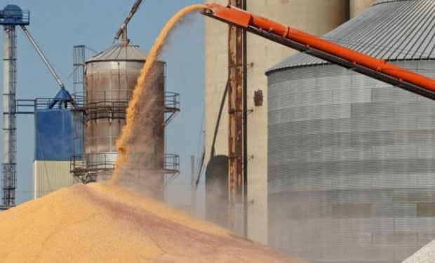 Tras apertura parcial de exportación, se embarcan 127.500 toneladas de trigo