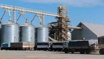 Cerealeras liquidaron más de U$S 400 millones