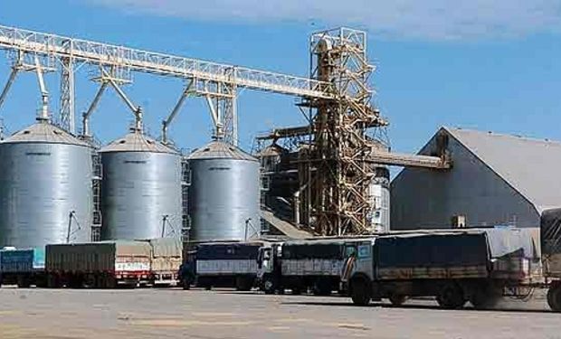 Cerealeras liquidaron más de U$S 400 millones