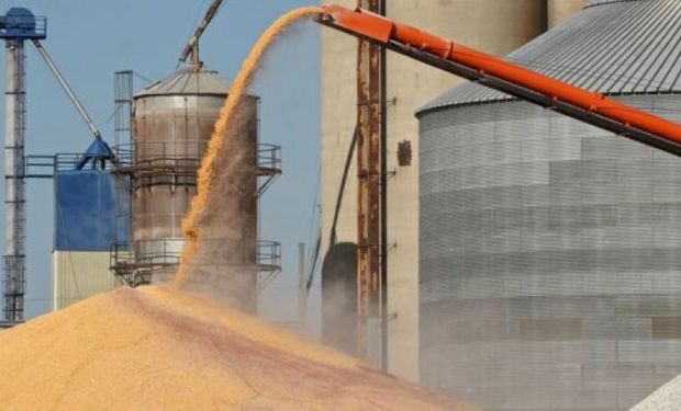 Liquidación sube 28% y cerealeras cumplen promesa al Gobierno