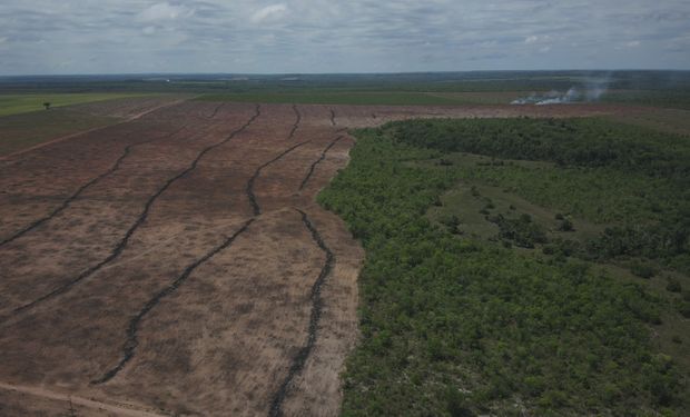 No Cerrado, o desmatamento chegou a 295,9 km² no primeiro mês deste ano. (Foto - Divulgação)