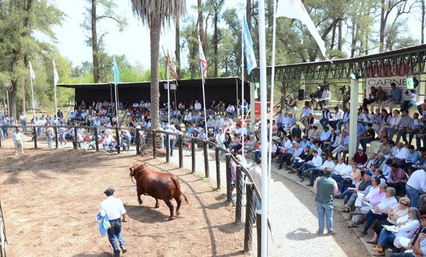 Cerró la novena edición de ExpoBRA.