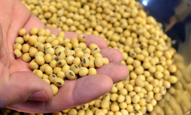 China implementa una certificación "Covid-19 free" para la soja y los exportadores dicen que es un pedido insólito