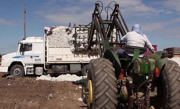 Paso a paso, cómo obtener el nuevo certificado de circulación para productores y actividades vinculadas al agro