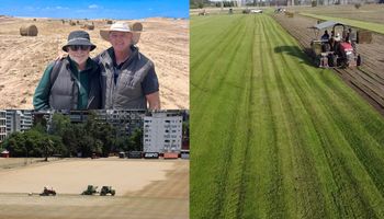 Trajeron el césped del Mundial a la Argentina y plantan hasta en los médanos: los expertos del pasto que se volvieron líderes con más de 500.000 m2 al año y hasta suman campos para seguir creciendo