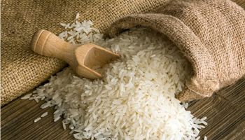 Conab poderá comprar até 110 mil toneladas de arroz 