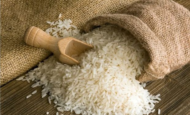 Conab poderá comprar até 110 mil toneladas de arroz 