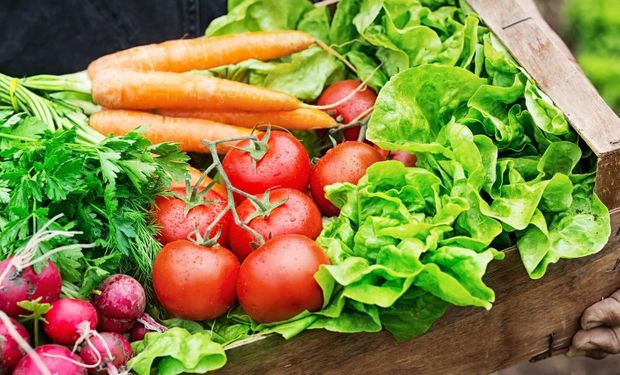 Paraná amplia vantagem como maior produtor de orgânicos do país