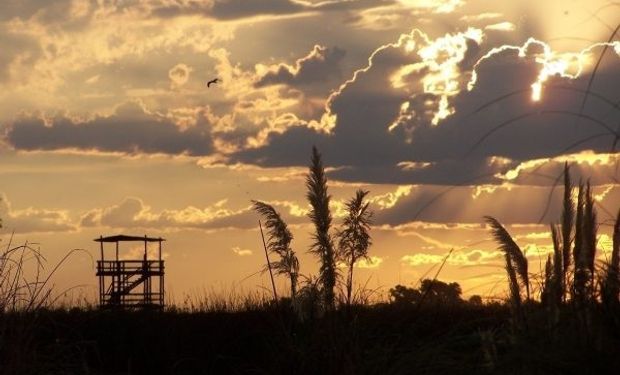 Pronóstico del clima: ¿en qué zonas y cuándo podrían volver las lluvias?