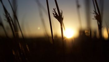 Vuelve el frío intenso y habrá lluvias: día por día, qué zonas serán las alcanzadas por el agua