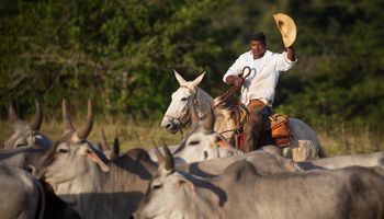 Produtor rural terá que trocar o chapéu pelo capacete? Governo esclarece