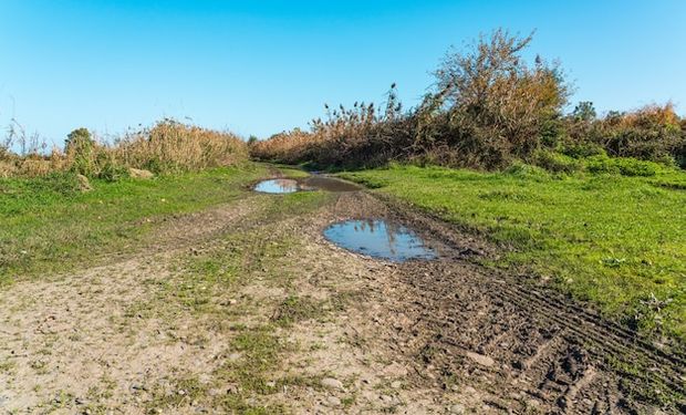 ¿El Niño traerá inundaciones? Un informe clave a nivel mundial anticipó qué pasará en Argentina