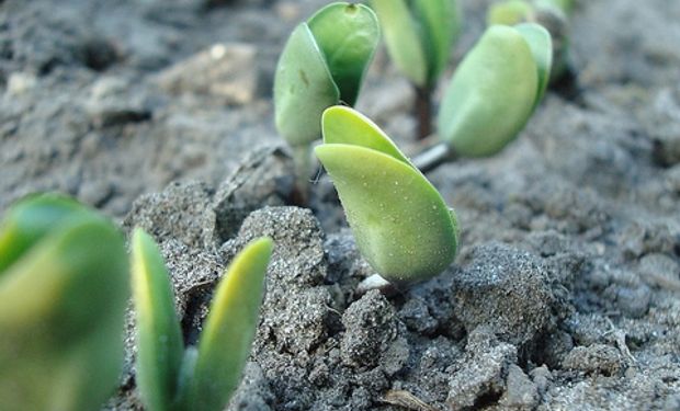 Uno de los fondos más grandes del mundo invierte en agtech nacida en Argentina