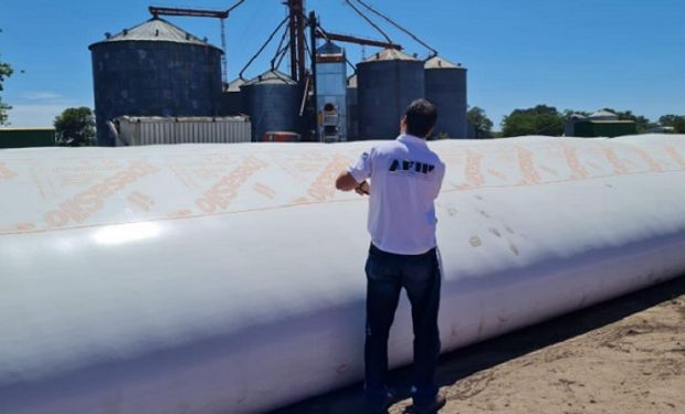 Operativo AFIP: secuestran más de 800 toneladas de maíz valuadas en $ 40 millones