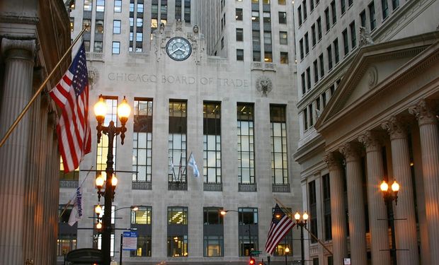 Chicago: caen los precios de la soja y el maíz, mientras el mercado está expectante de un informe clave