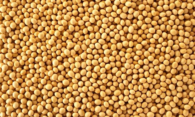 Soja: se desacelera el ritmo de exportaciones de Estados Unidos