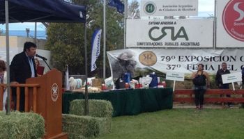 "Es inviable cualquier actividad productiva con un 50% de presión impositiva"