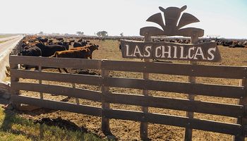 Las Chilcas: la inversión que dejará al establecimiento con una capacidad única en Argentina