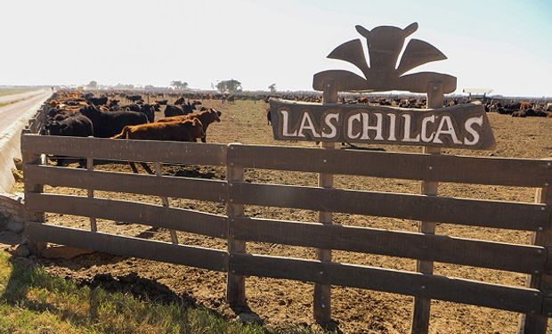 Las Chilcas: la inversión que dejará al establecimiento con una capacidad única en Argentina