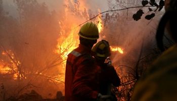 Chile: más de 18 mil efectivos siguen la lucha contra 131 focos de incendio