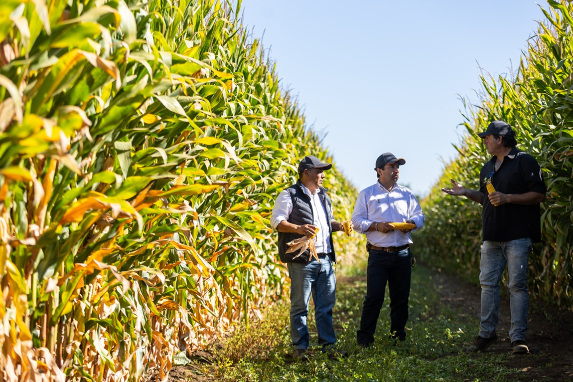 noticiaspuertosantacruz.com.ar - Imagen extraida de: https://news.agrofy.com.ar/noticia/211933/pais-que-desplazo-china-como-destino-exportaciones-argentinas-que-productos-agro