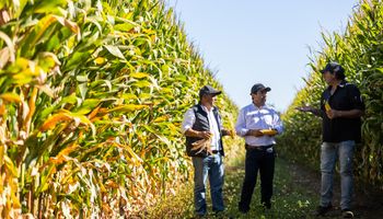 El país que desplazó a China como destino de las exportaciones argentinas: qué productos del agro fueron protagonistas