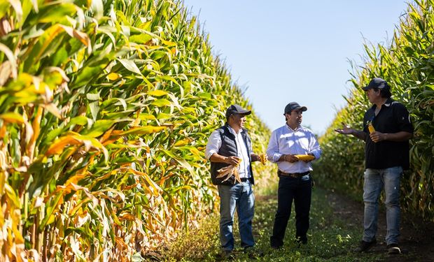 El país que desplazó a China como destino de las exportaciones argentinas: qué productos del agro fueron protagonistas