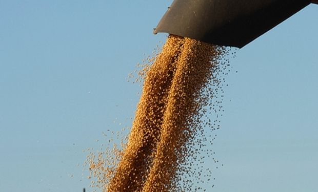 La soja retrocede 0,3% a u$s 487,51