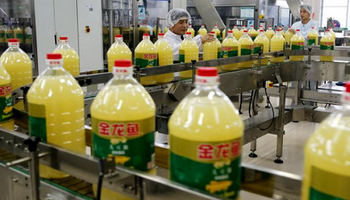 Clave: el aceite de soja en China alcanzó un máximo de 10 años