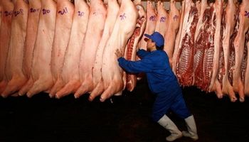 China: el desplome del cerdo impacta sobre la demanda de carne y soja del gigante asiático