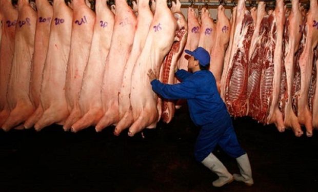 China: el desplome del cerdo impacta sobre la demanda de carne y soja del gigante asiático
