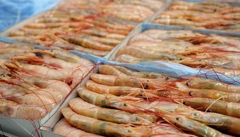 China redujo aranceles para la importación de alimentos argentinos