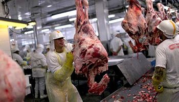 Carne: los principales cortes que compra China cayeron más de US$ 1.000 la tonelada en un mes