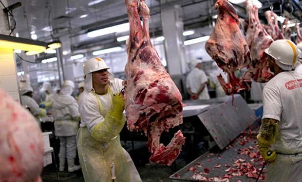 Carne: los principales cortes que compra China cayeron más de US$ 1.000 la tonelada en un mes