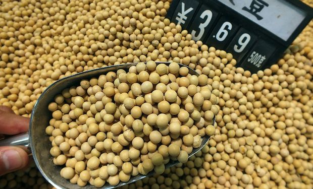 China acelera compras de soja mientras el precio en Chicago se acerca a los  US$ 600 | Agrofy News
