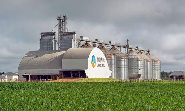 Señal al mercado: China compró 180.000 toneladas de soja estadounidense