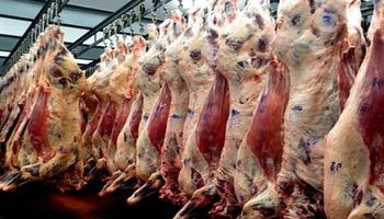 Carne a China: el Gobierno busca aumentar los envíos