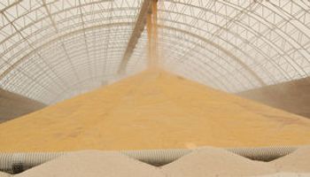 China busca mercados alternativos de maíz