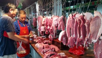 Peste Porcina: China prohibió la importación de carne de cerdo de Alemania